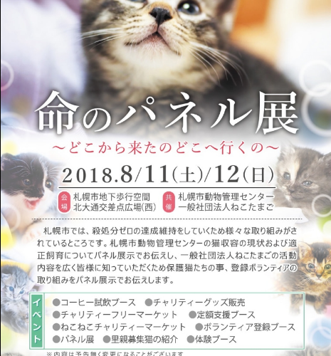 8月11日～12日イベント情報