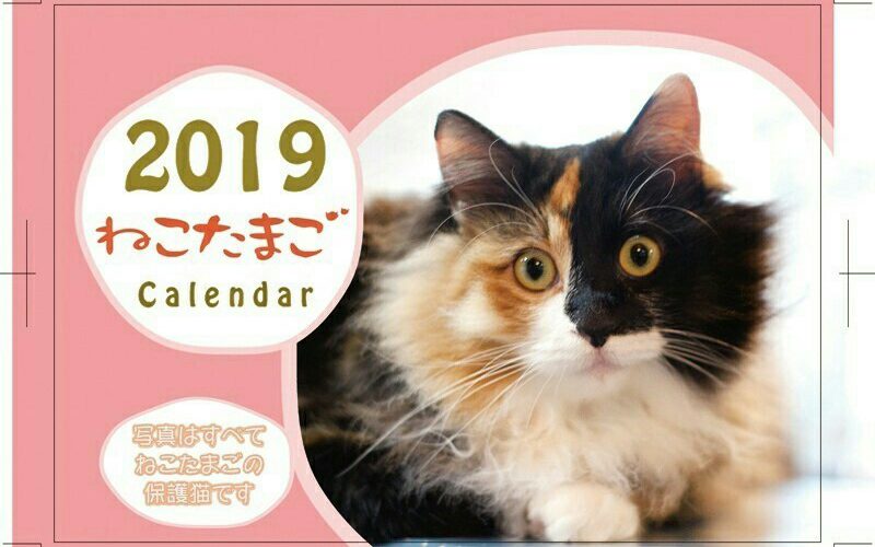2019年カレンダー発売！