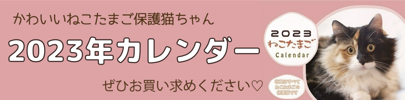 2024年チャリティーカレンダー予約開始します