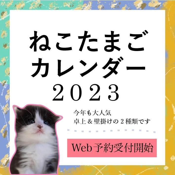 海外限定】 未使用 2023年 猫 卓上カレンダー