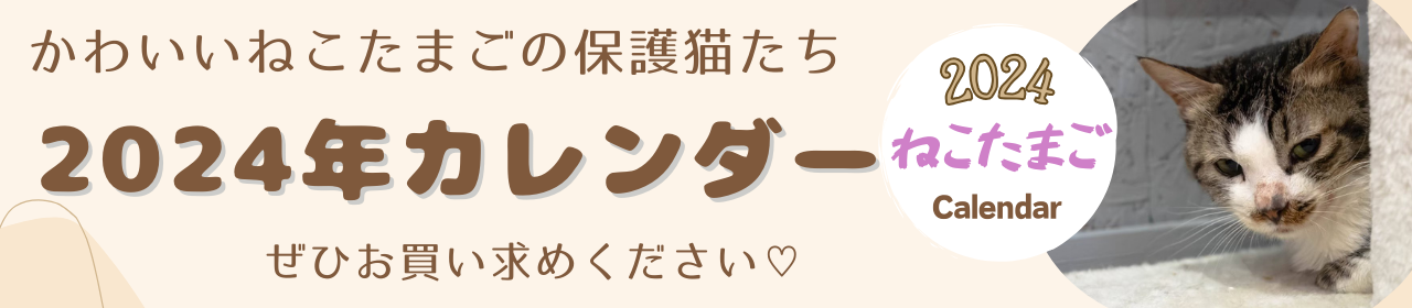 ねこたまごカレンダー2024の詳細はこちら
