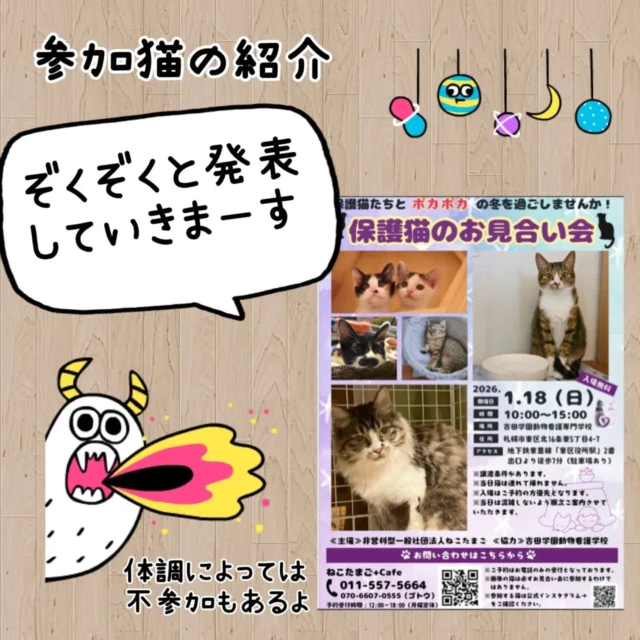 ご協力店舗様 – 非営利型一般社団法人 ねこたまご