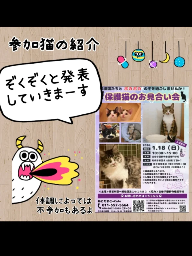 ご協力店舗様 – 非営利型一般社団法人 ねこたまご