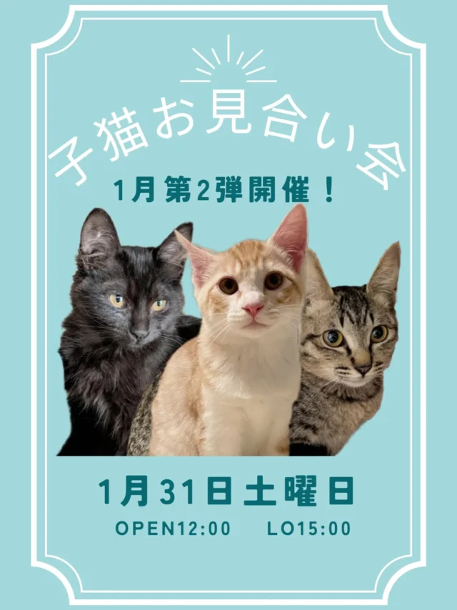 ご協力店舗様 – 非営利型一般社団法人 ねこたまご